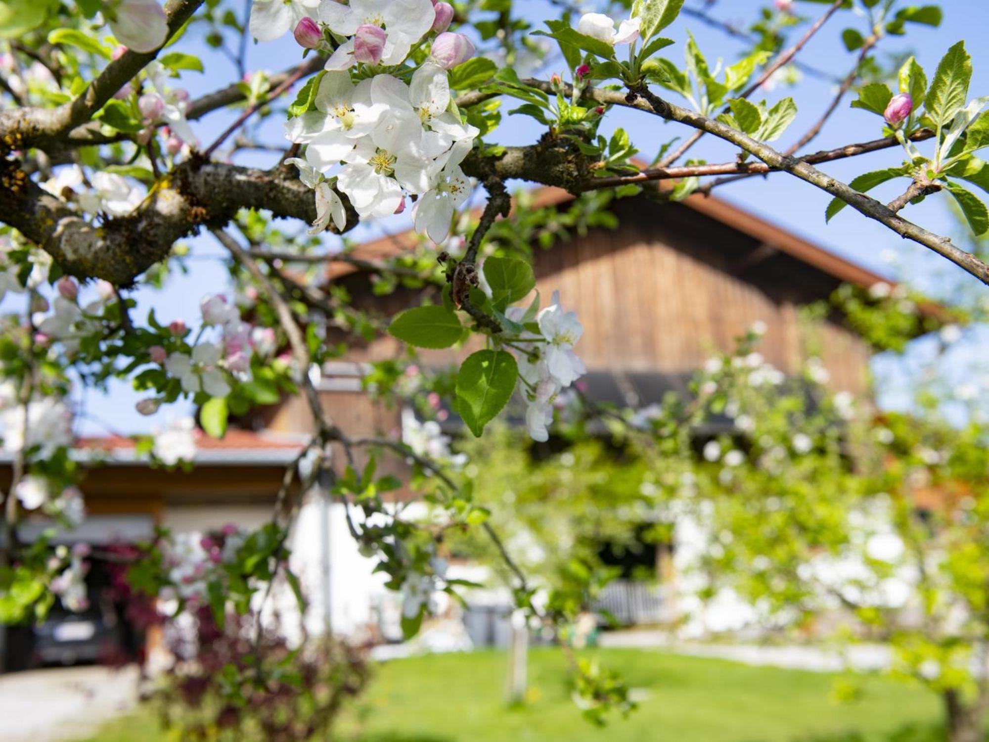 Auszeit Am Bauernhof Apartment Schwoich Exterior foto